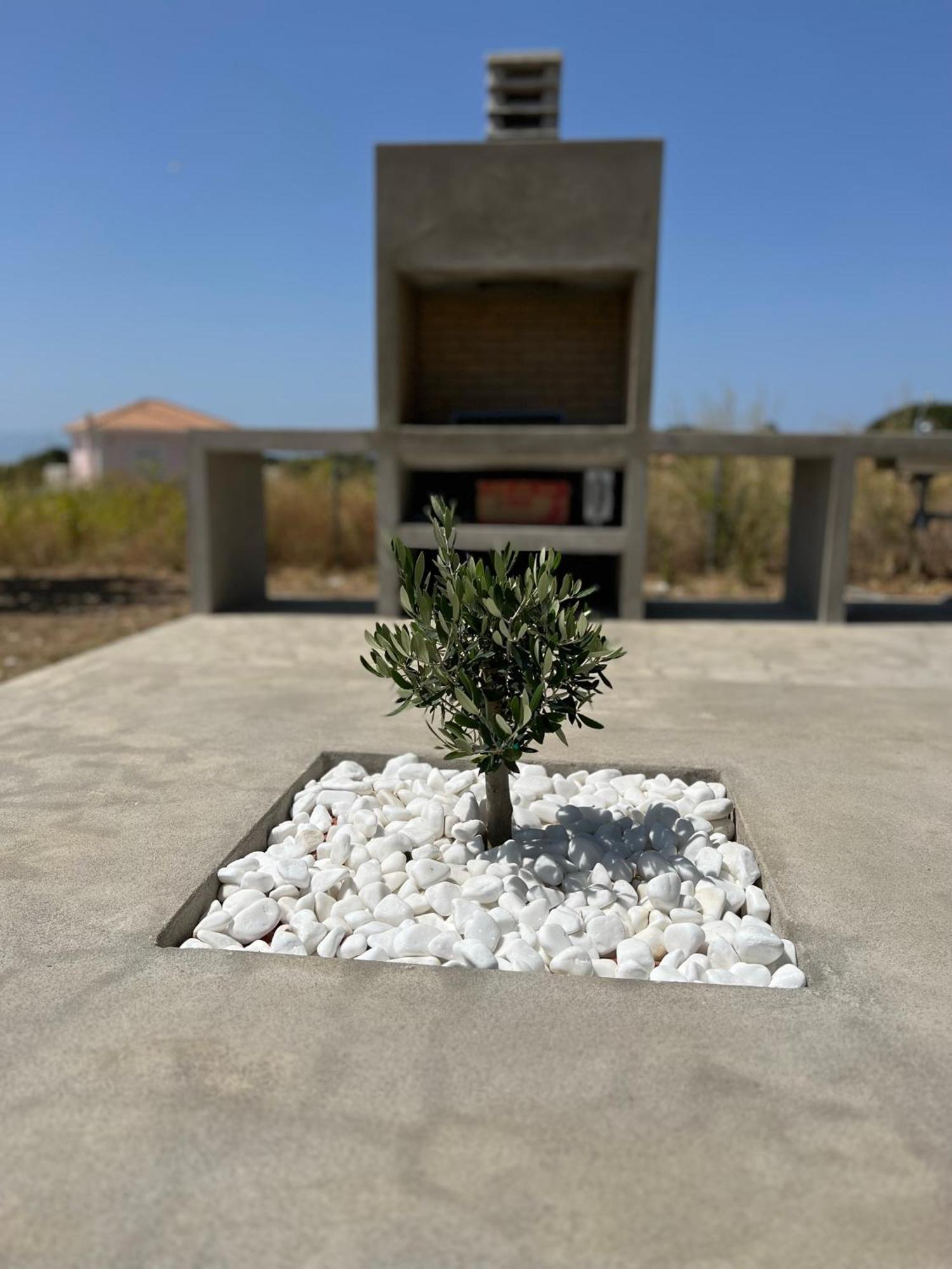 Alberi - Izla Homes Skala  Εξωτερικό φωτογραφία
